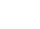 green goose design
